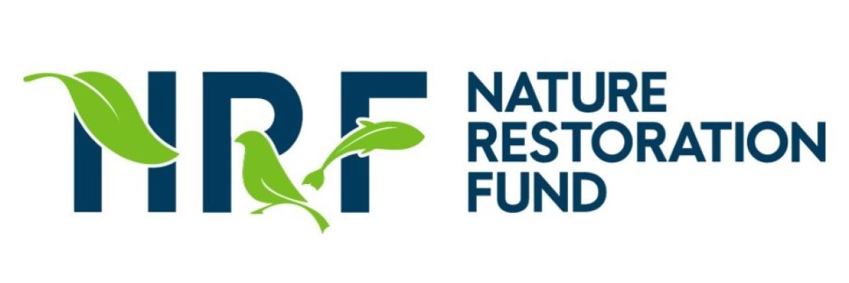 NRF logo