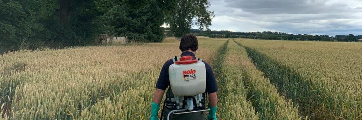 Owen walking through a field in spraying equipment