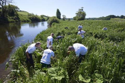 volunteer group