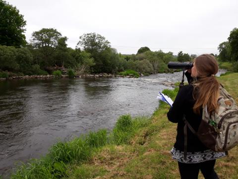 River survey