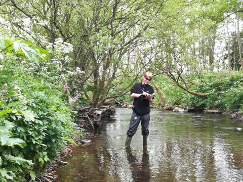 Someone standing in a stream volunteering