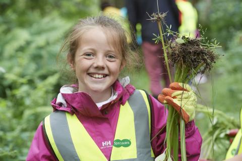 Himalayan balsam pulling