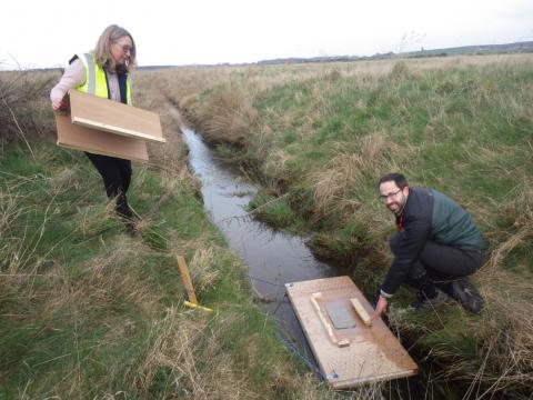 Mink rafts