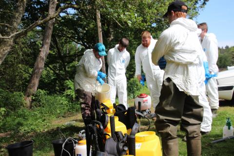 Volunteers spraying