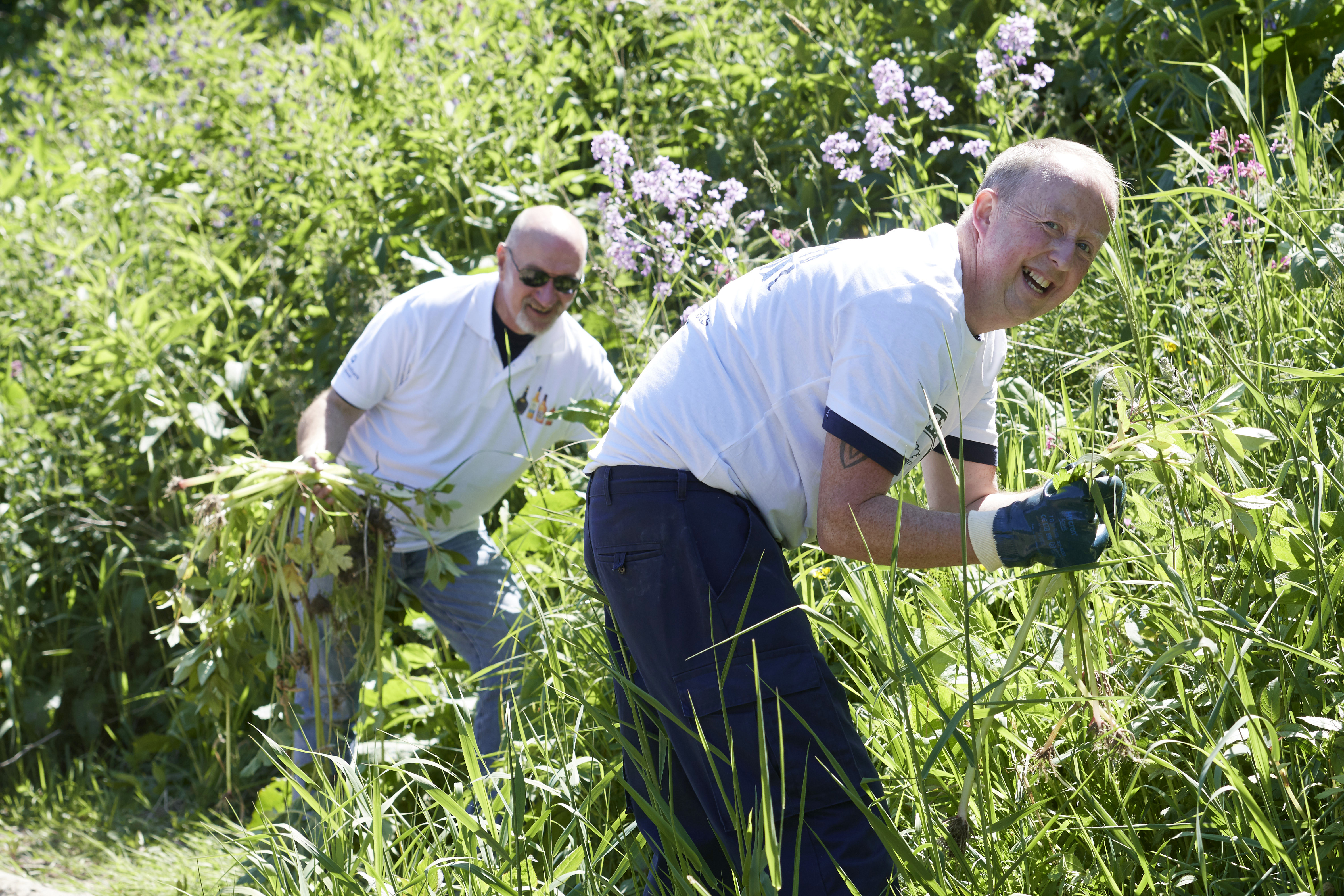 volunteers