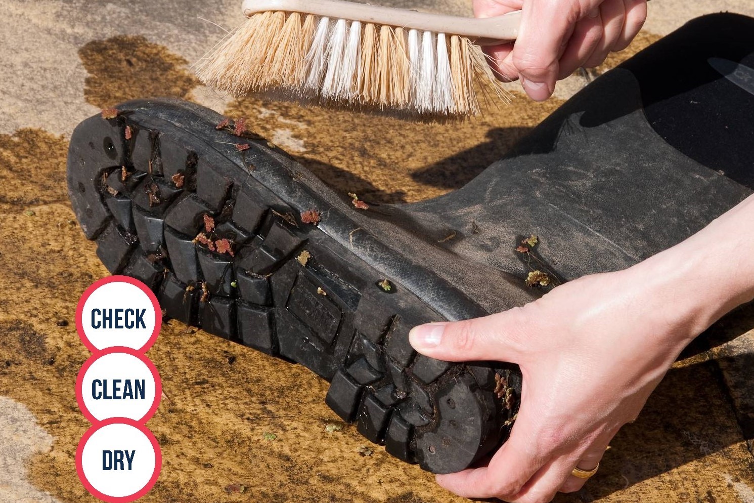 Check clean dry - Cleaning a boot with a brush