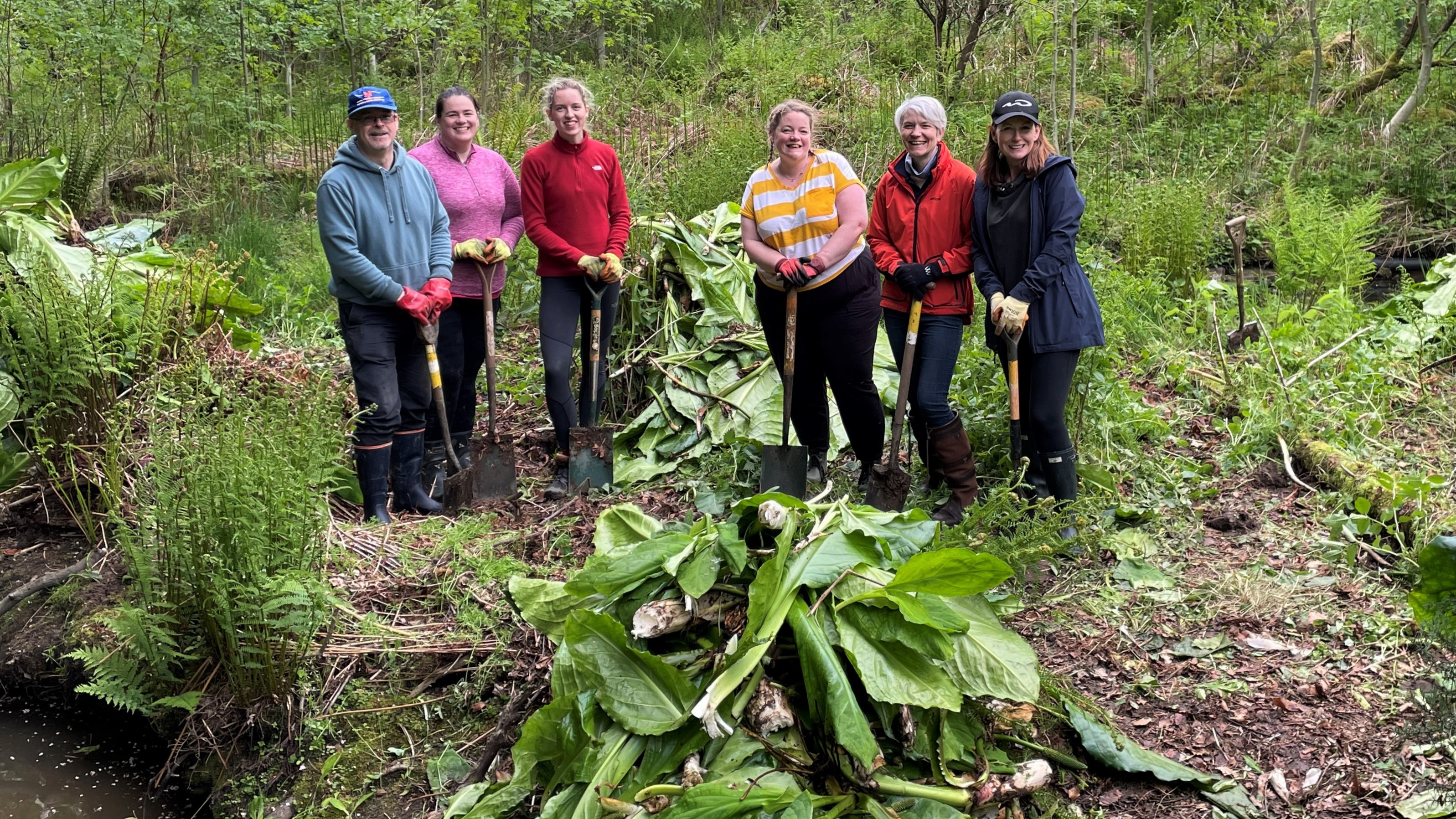 Group of volunteers holding tools, standing in front of pile of American skunk cabbage which has been dug up