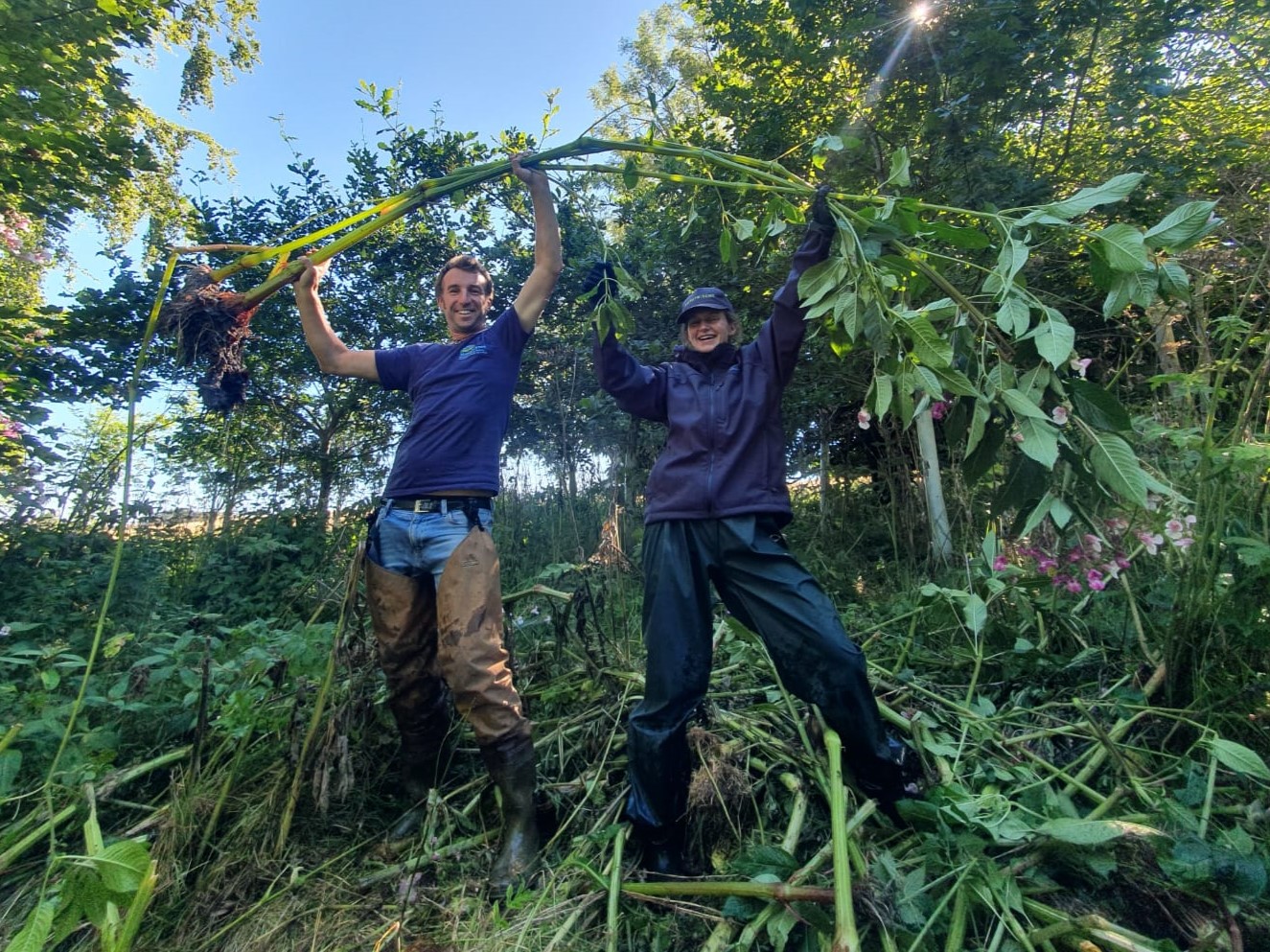 Two people hold a Himalayan balsam plant above their heads