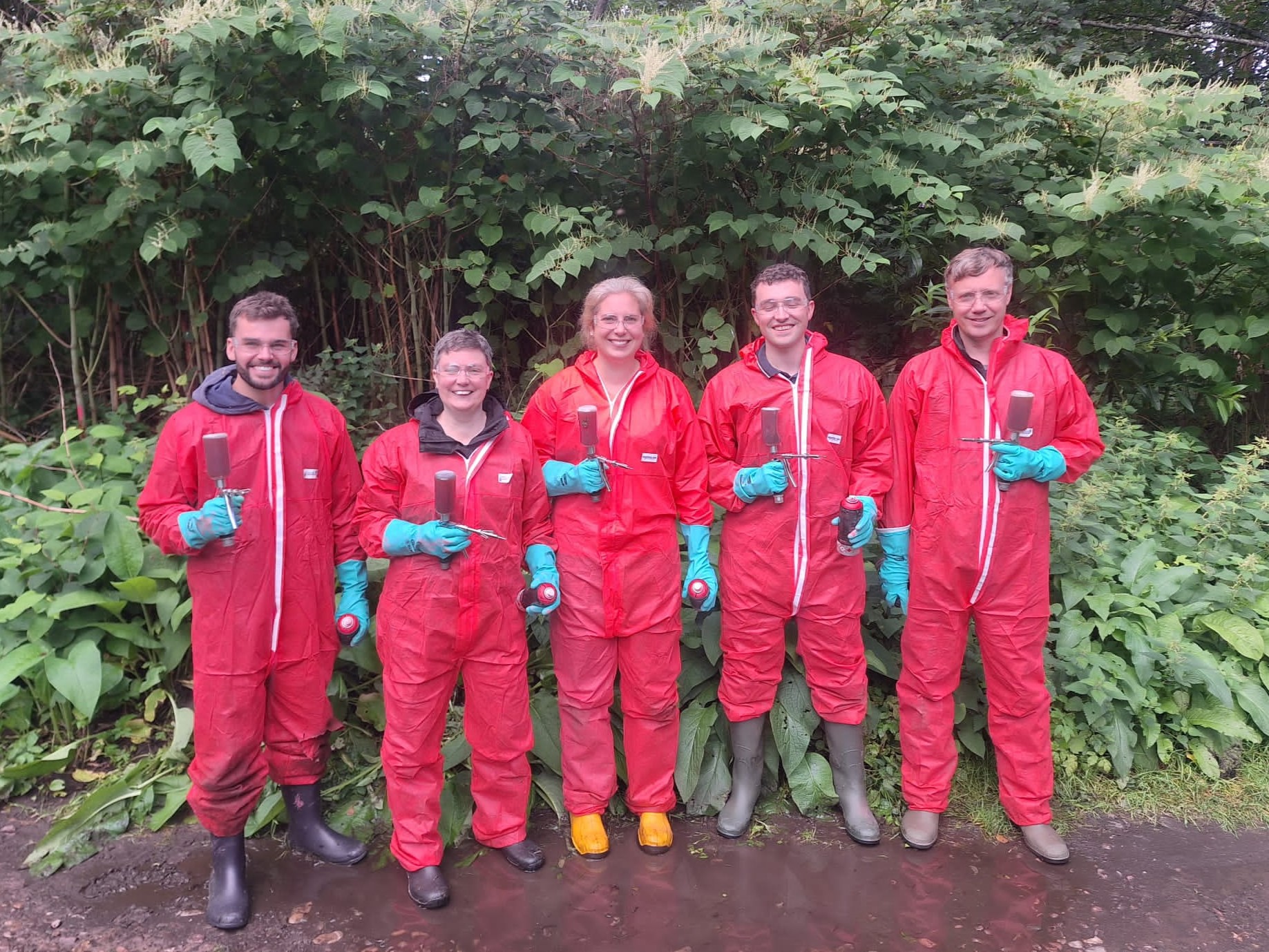A group of volunteers in red spray suits holding stem injectors and standing in front of Japanese knotweed 