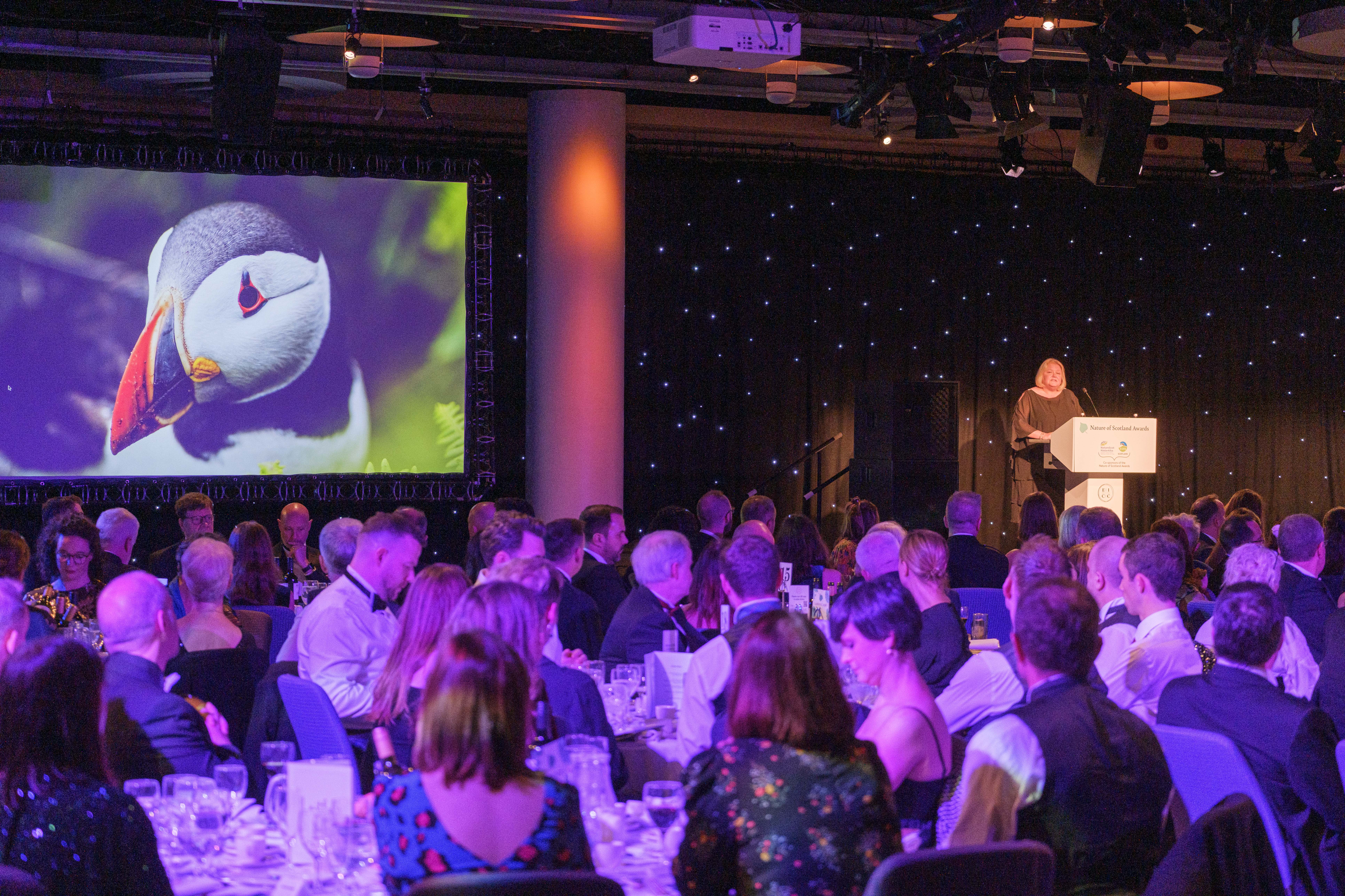 Anne McCall giving a speech in front of a large audience