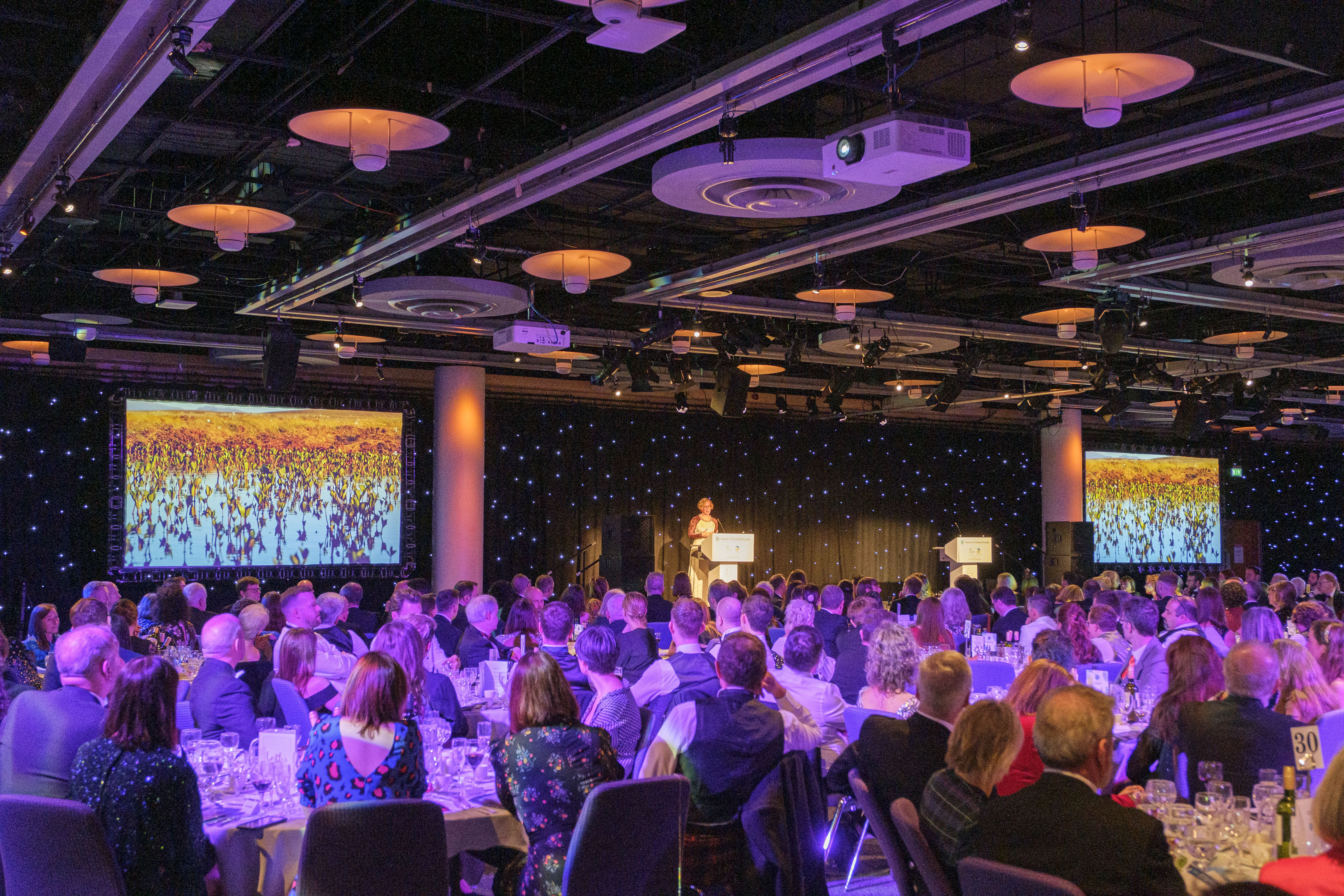 Lorna Slater giving a speech in front of a large room of people