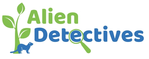 alien logo