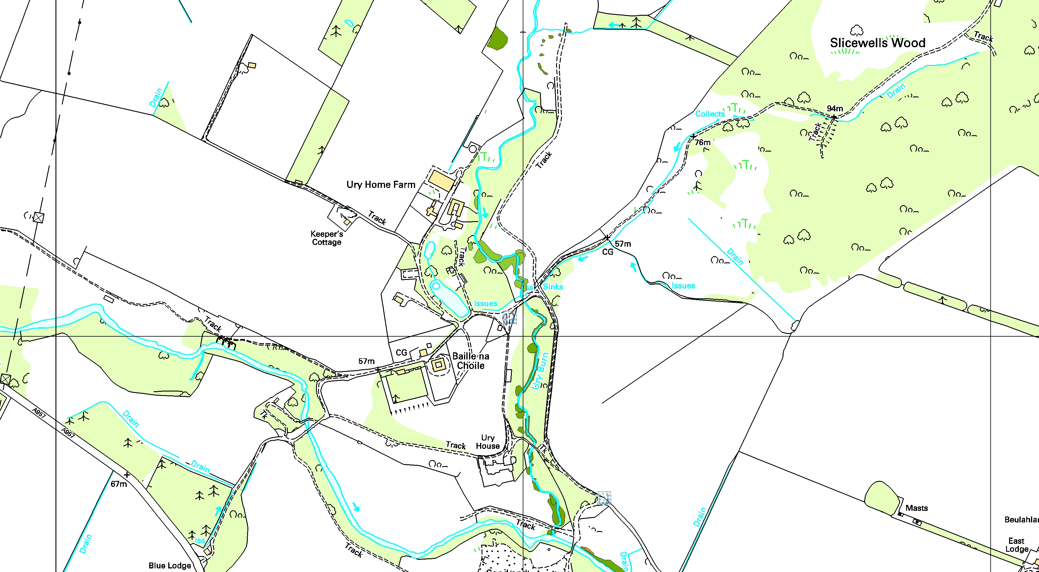 Japanese knotweed locations on the Ury burn