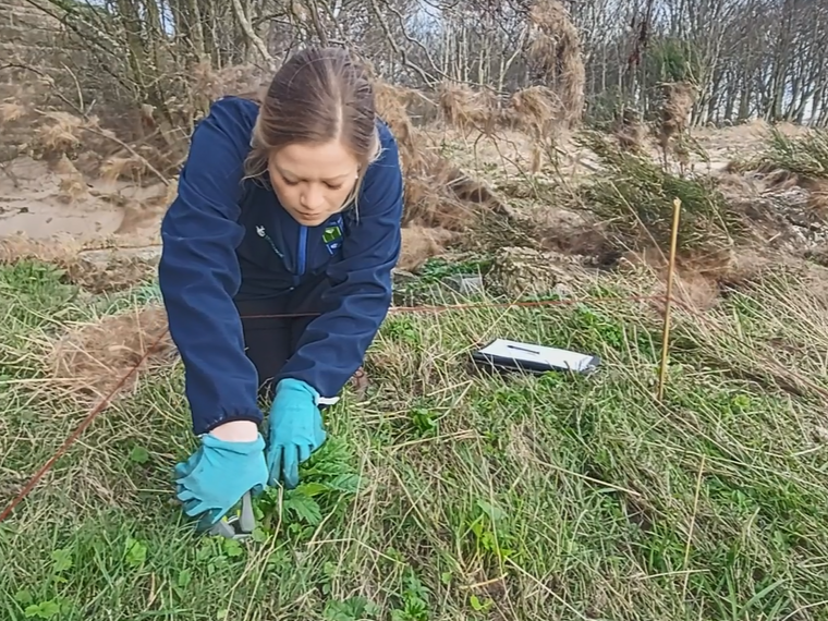 Karen Muller cutting seedlings