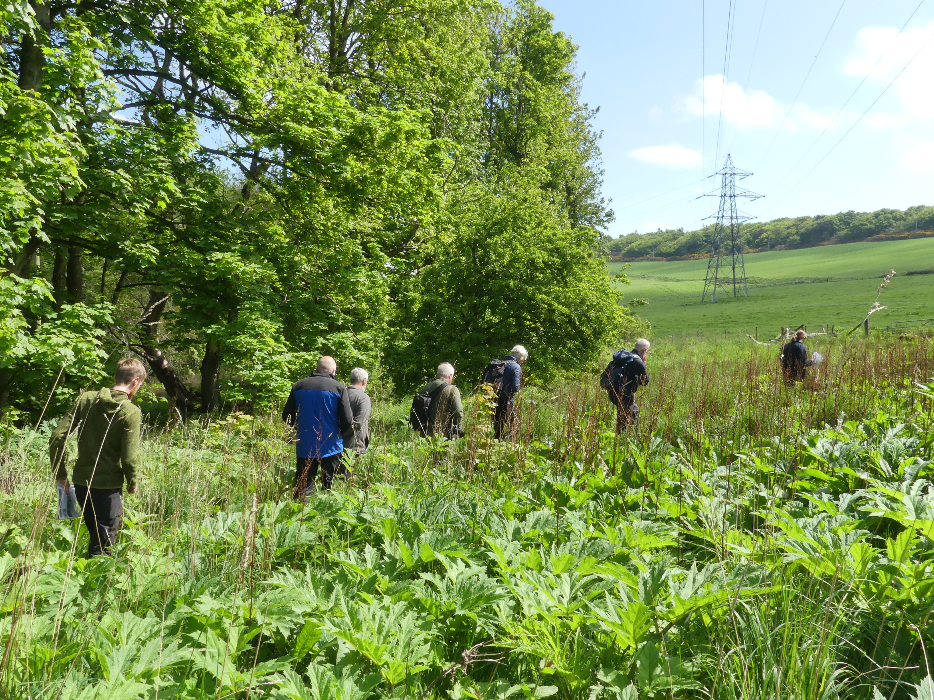 Group of people walking through the Macduff trial site