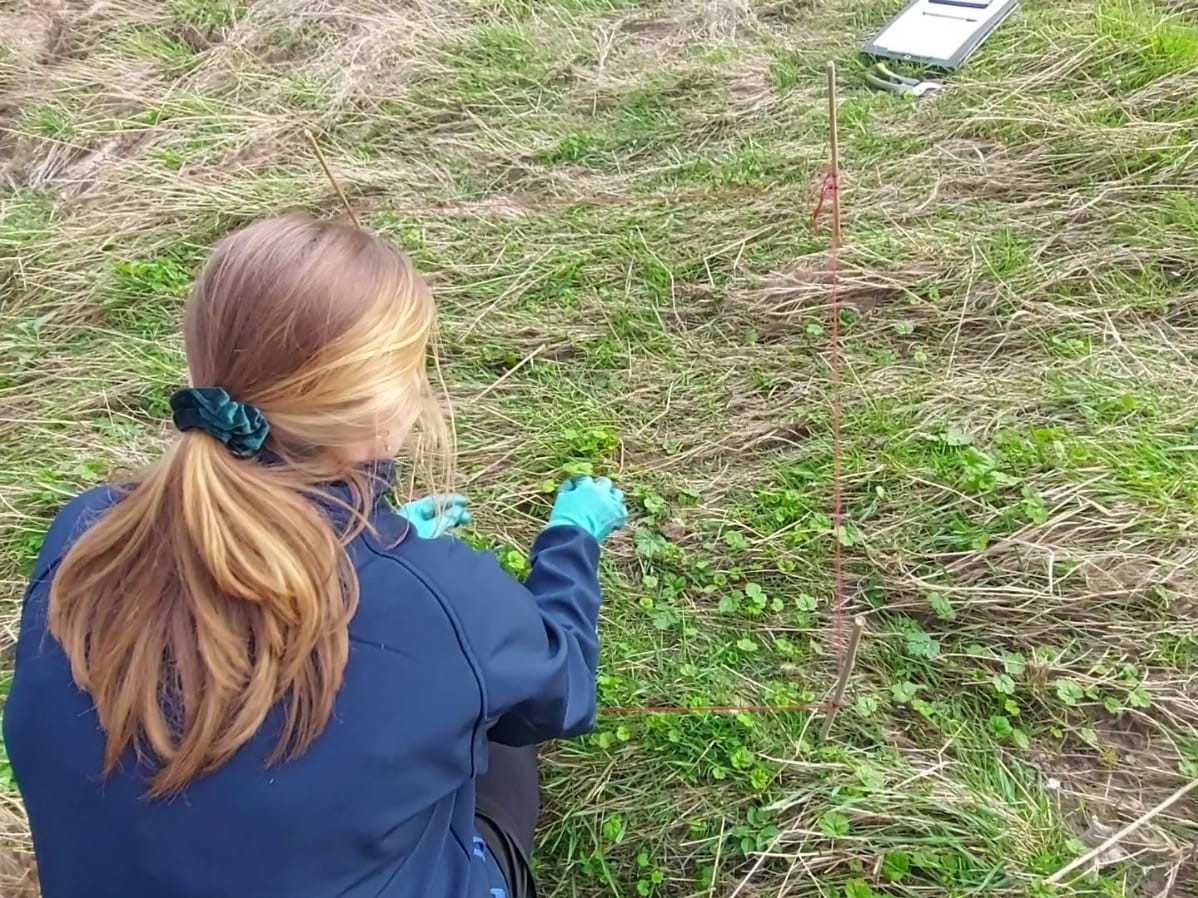 Karen Muller pulling out seedlings