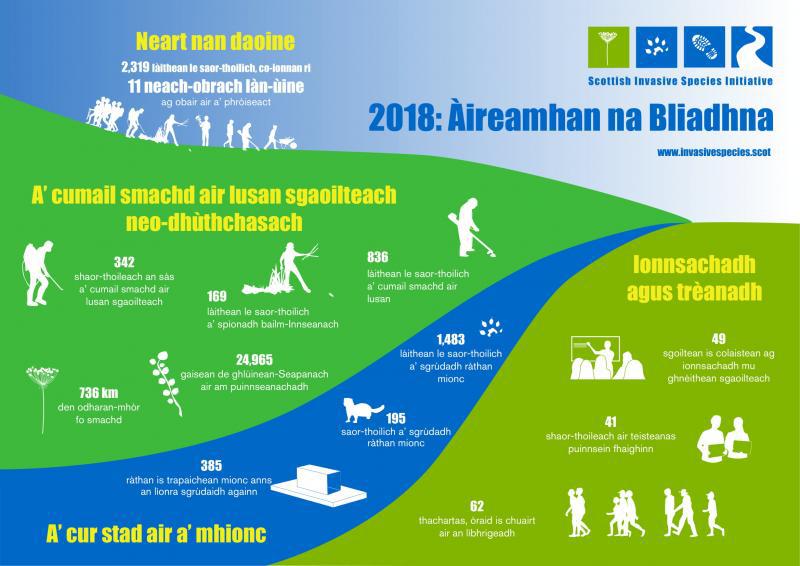 Infographic - Gaelic