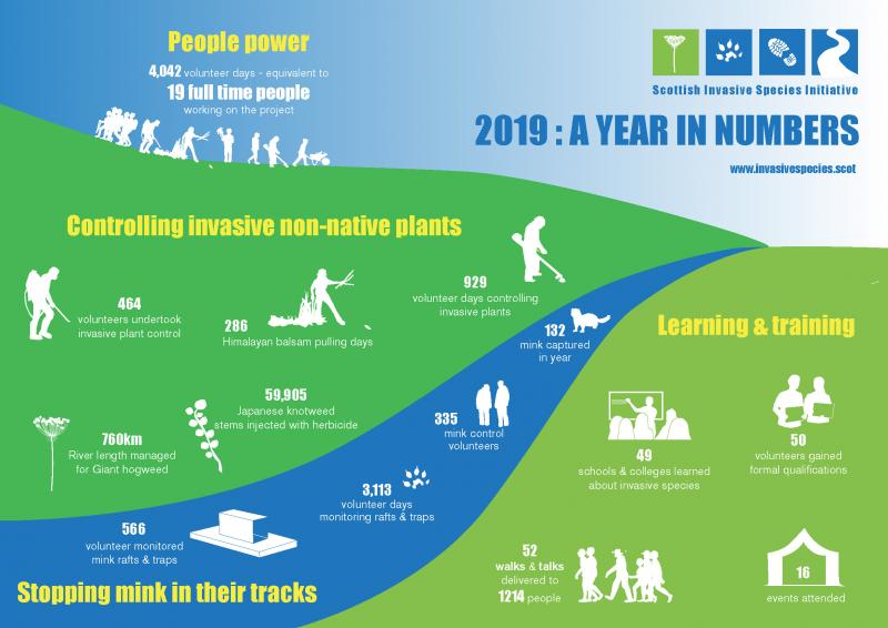 infographic 2019